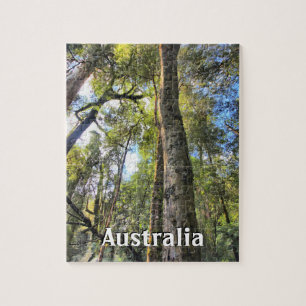 Australian Rainforest Eucalyptus Gum Trees Jigsaw Puzzle