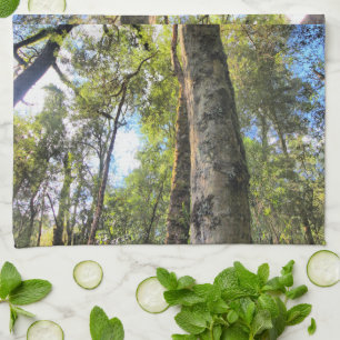 Australian Rainforest Eucalyptus Gum Trees Kitchen Towel