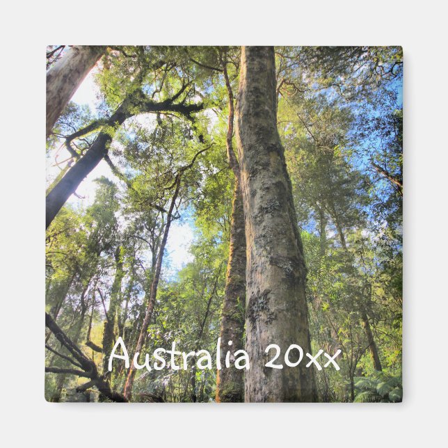 Australian Rainforest Eucalyptus Gum Trees Magnet (Front)
