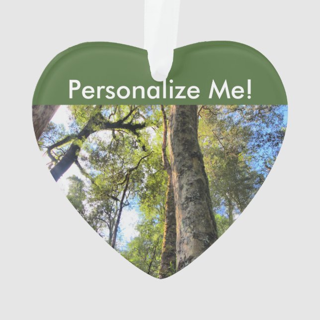 Australian Rainforest Eucalyptus Gum Trees Ornament (Back)