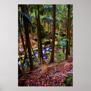 Australian Rainforest Poster