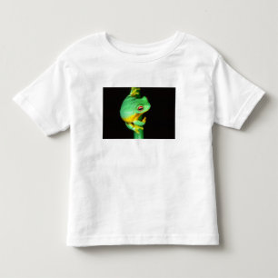 Australian Red Eye Treefrog, Litoria chloris, Toddler T-shirt