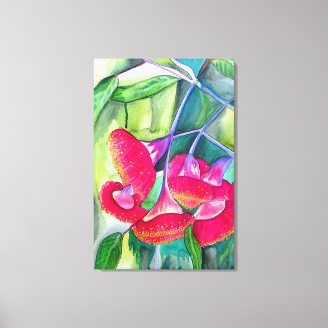 Australian red flowering Gumnuts watercolor art Canvas Print (Front)