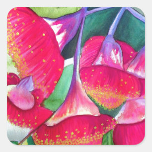 Australian red flowering gumnuts watercolor art square sticker