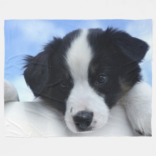 Australian Sheepdog on Large Fleece Blanket (Front (Horizontal))