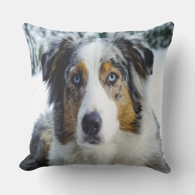 Australian Shepard In Snow Outdoor Pillow (Front)
