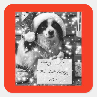 AUSTRALIAN SHEPARD SQUARE Sticker