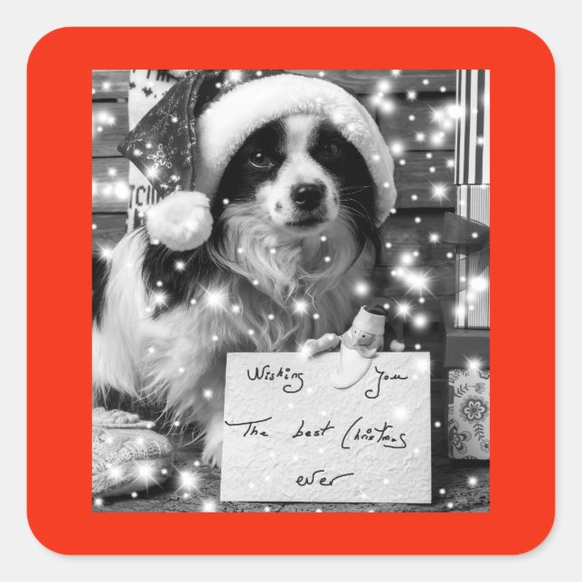 AUSTRALIAN SHEPARD SQUARE Sticker (Front)