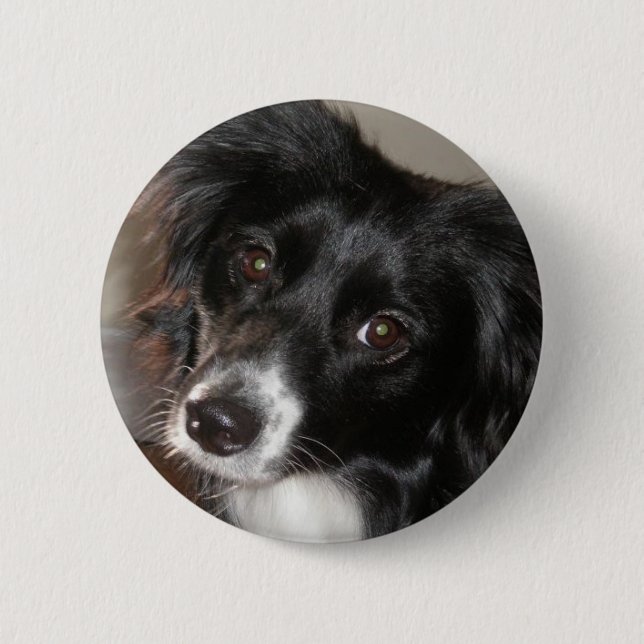 Australian Shepherd 2 Inch Round Button (Front)