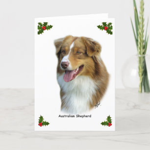 Australian Shepherd 9K4D-16 Holiday Card