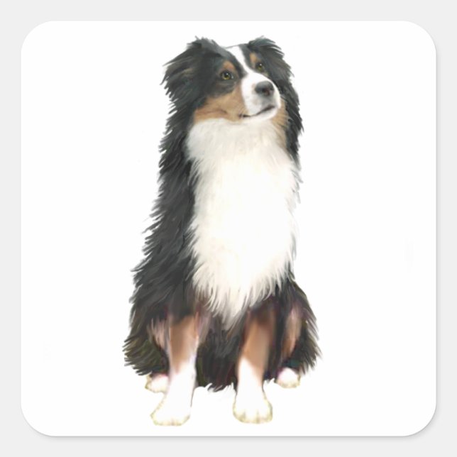 AUSTRALIAN SHEPHERD (A) - Tri Colour Square Sticker (Front)