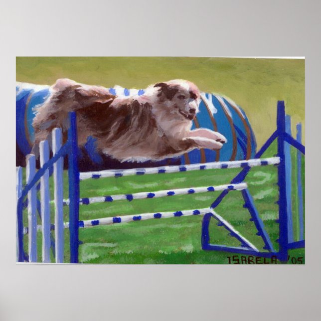 Australian Shepherd Agility Dog Portrait Poster (Front)