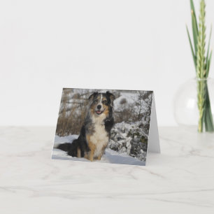 Australian Shepherd Aussie  Dog  Hello  Love Card