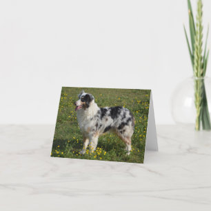 Australian Shepherd Aussie  Dog  Hello  Love Card