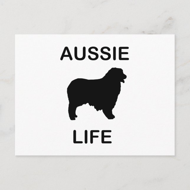 australian shepherd aussie life postcard (Front)