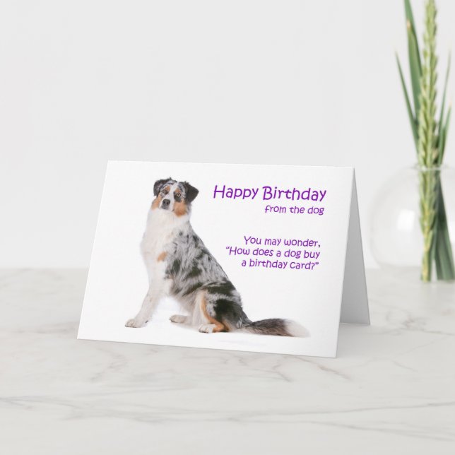 Australian Shepherd Birthday Card (Front)