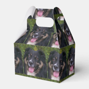 australian shepherd black tri favor box