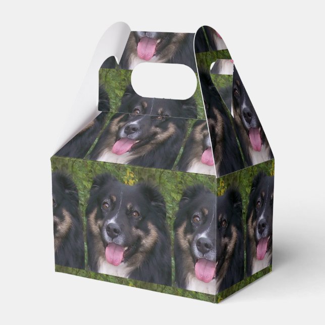 australian shepherd black tri favor box (Front Side)