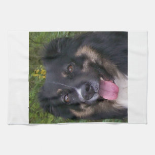 australian shepherd black tri kitchen towel