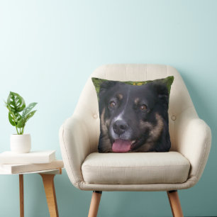 australian shepherd black tri throw pillow