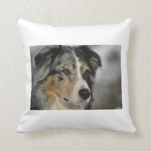 australian-shepherd-blue merle 2.png throw pillow