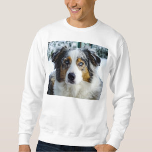 australian shepherd blue merle 3 sweatshirt