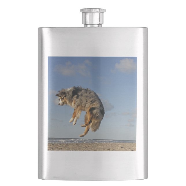 australian shepherd blue merle at beach jumping hip flask (Front)