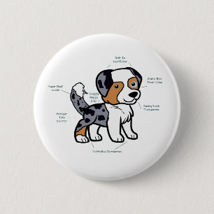 Australian Shepherd Blue Merle Funny Anatomy 2 Inch Round Button