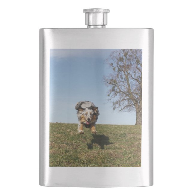 australian shepherd blue merle jumping hip flask (Front)