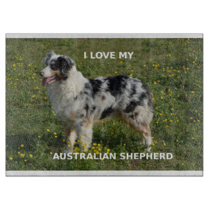australian shepherd blue merle love w pic cutting board
