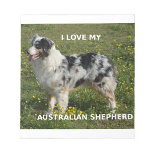 australian shepherd blue merle love w pic notepad