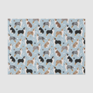 Australian Shepherd Bones and Paws Tissue Paper
