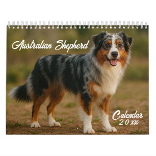 Australian Shepherd Calendar 2026