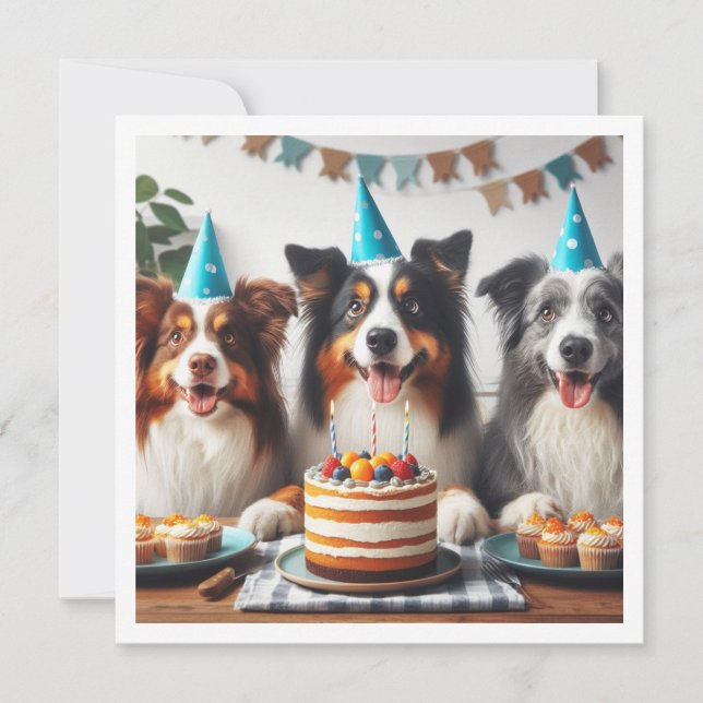 Australian Shepherd, Carte d'anniversaire de chien (Devant)