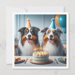Australian Shepherd, Carte d'anniversaire de chien