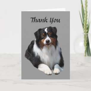 Australian Shepherd Carte de remerciements