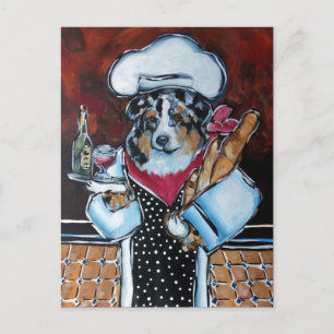 AUSTRALIAN SHEPHERD CHEF POSTCARD