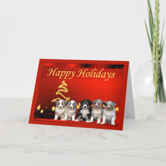 Australian Shepherd Christmas Card Stars (Front)