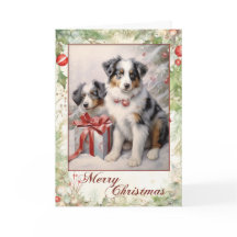 Australian Shepherd Christmas