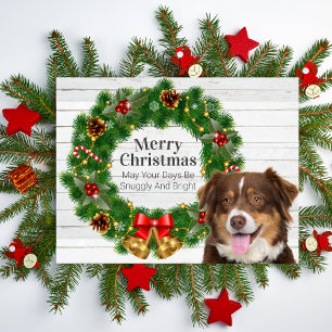 Australian Shepherd Christmas Holiday Postcard