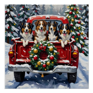 Australian Shepherd Christmas Red Truck Holiday Poster