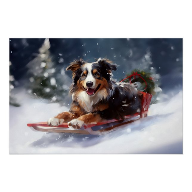 Australian Shepherd Christmas snow winter Poster (Front)