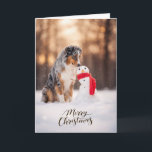 Australian Shepherd Christmas Snowman Holiday Card<br><div class="desc">A beautiful Christmas card featuring an Australian Shepherd sitting in fresh winter snow beside a cheerful little snowman wrapped in a red scarf. The warm golden winter light and soft falling snow create a peaceful holiday moment that dog lovers will instantly recognize. Perfect for anyone who shares their life with...</div>