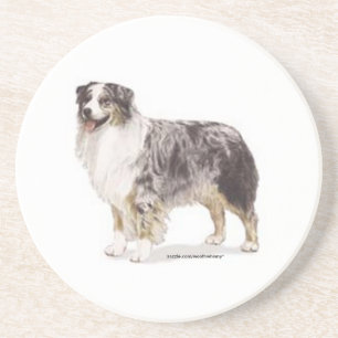 Australian Shepherd Coaster