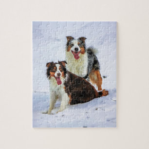 Australian shepherd couple dogs jigsaw puzzle