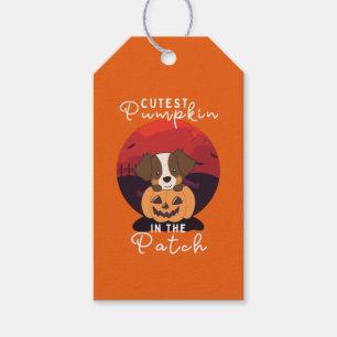 Australian Shepherd cutest pumpkin in the patch Gift Tags