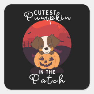 Australian Shepherd cutest pumpkin in the patch Square Sticker