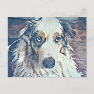 Australian Shepherd Digital Art Postcard