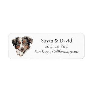 Australian Shepherd Dog