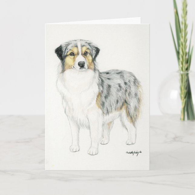Australian Shepherd Dog Art Greeting Card (Front)
